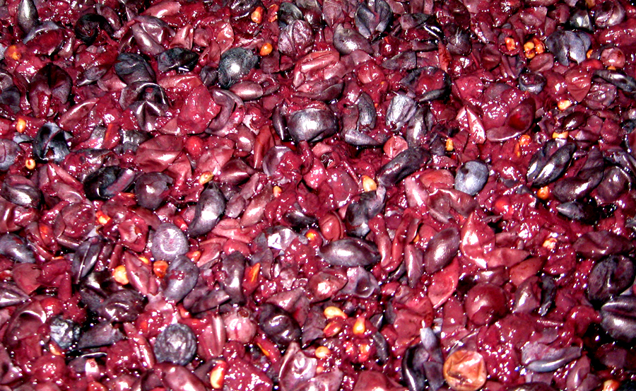 grape fermenting